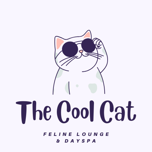 Cool Cat logo